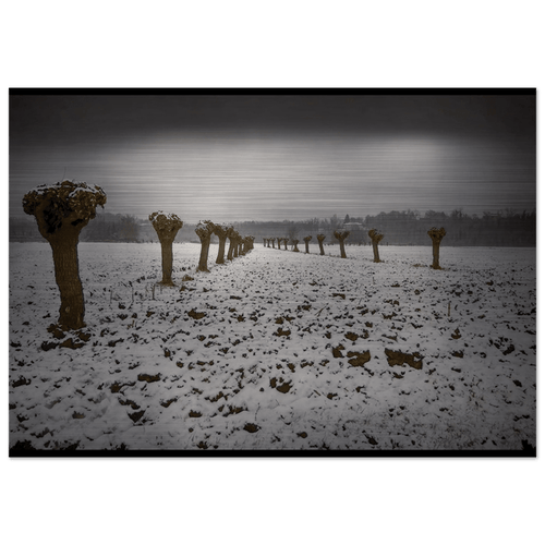 Sentinelle d’Inverno - Micol Art Gallery