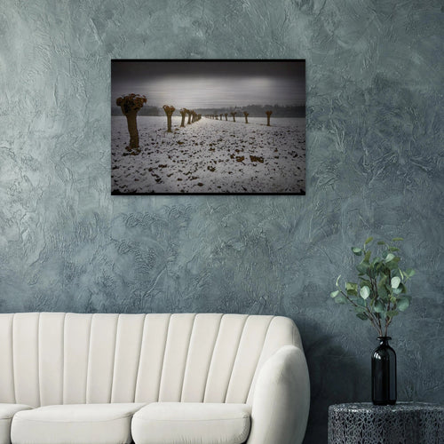 Sentinelle d’Inverno - Micol Art Gallery