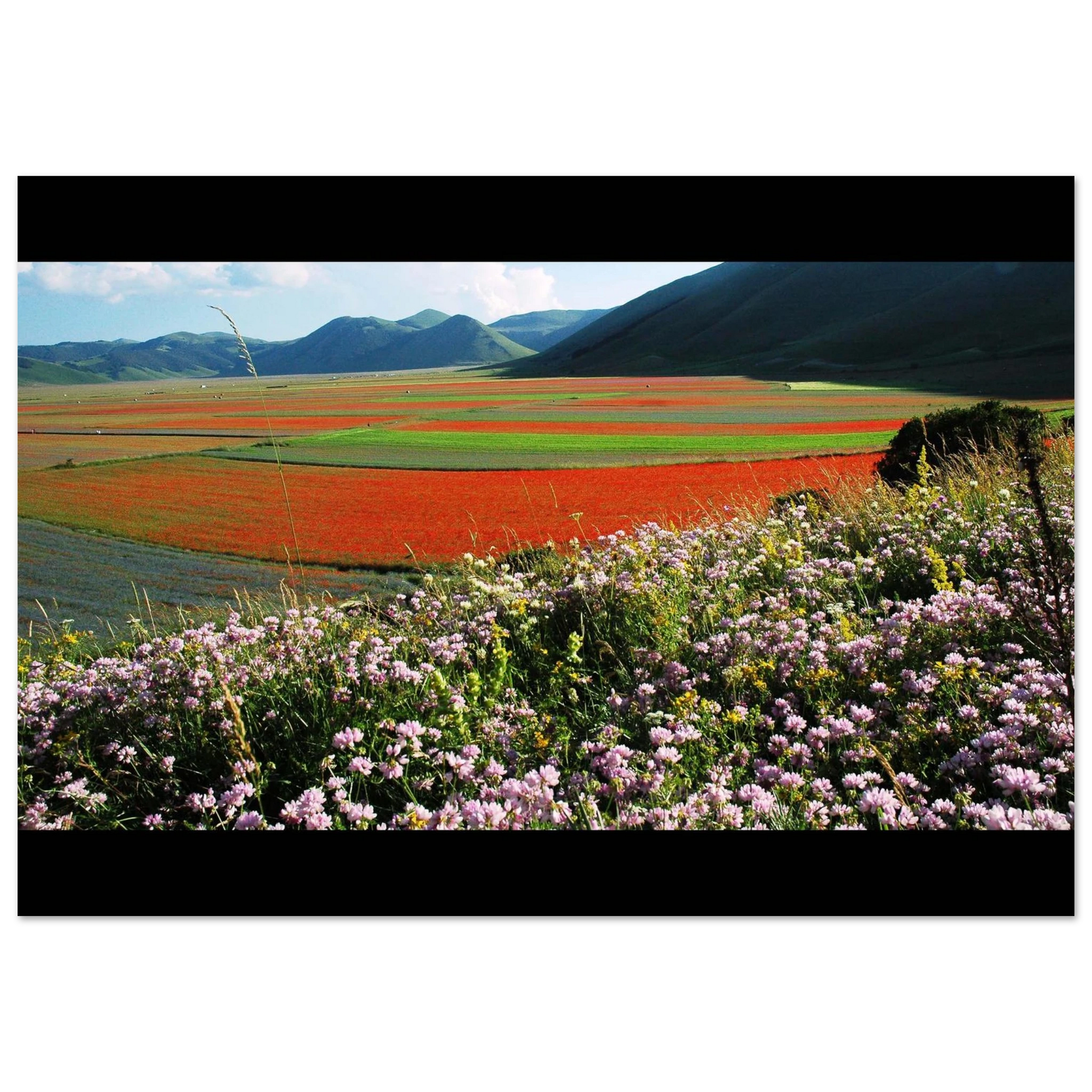 Sinfonia di Piana - Micol Art Gallery