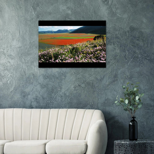Sinfonia di Piana - Micol Art Gallery
