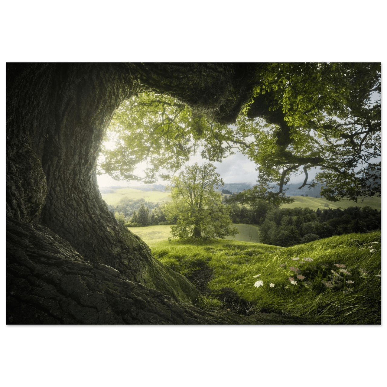 The Valley of Imladris - Micol Art Gallery