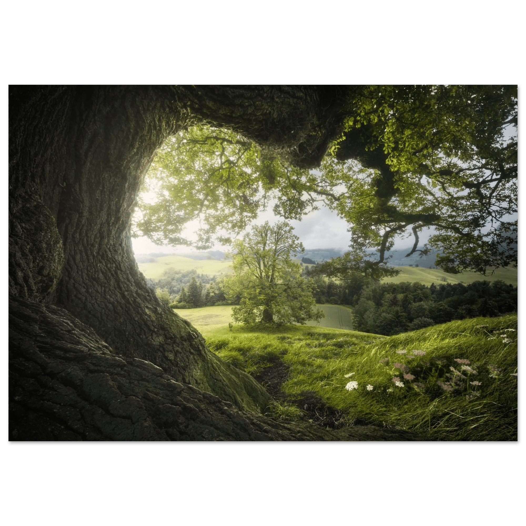 The Valley of Imladris - Micol Art Gallery