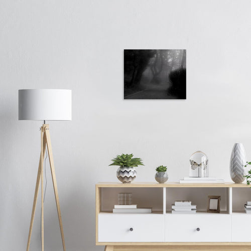 Villa Revoltella - Micol Art Gallery