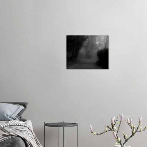 Villa Revoltella - Micol Art Gallery
