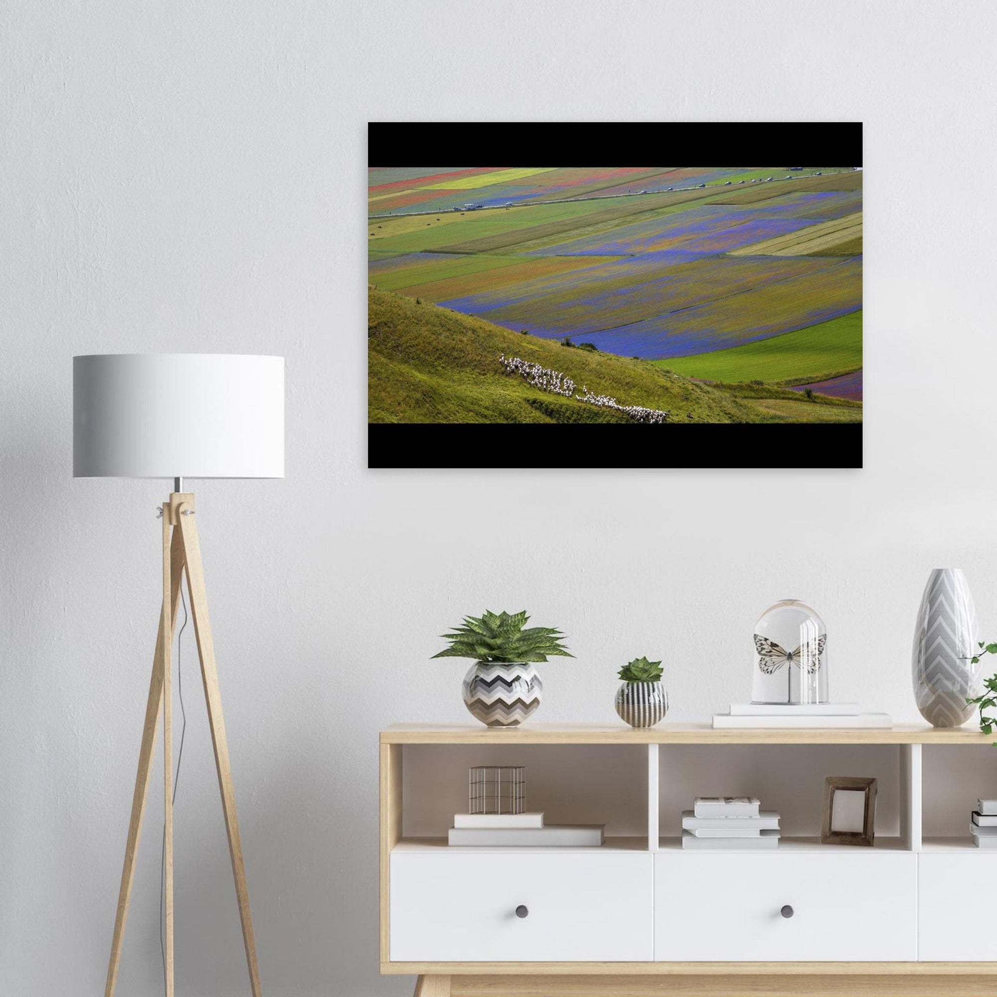 Viola - Micol Art Gallery