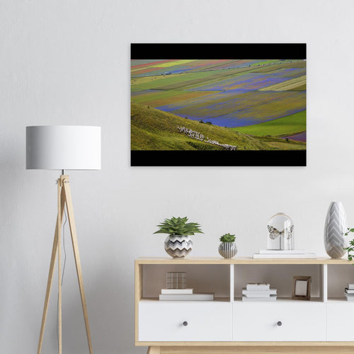 Viola - Micol Art Gallery