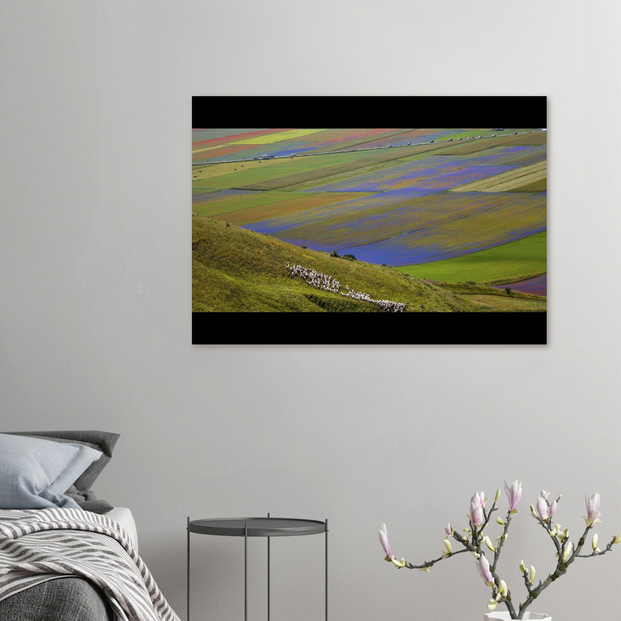 Viola - Micol Art Gallery