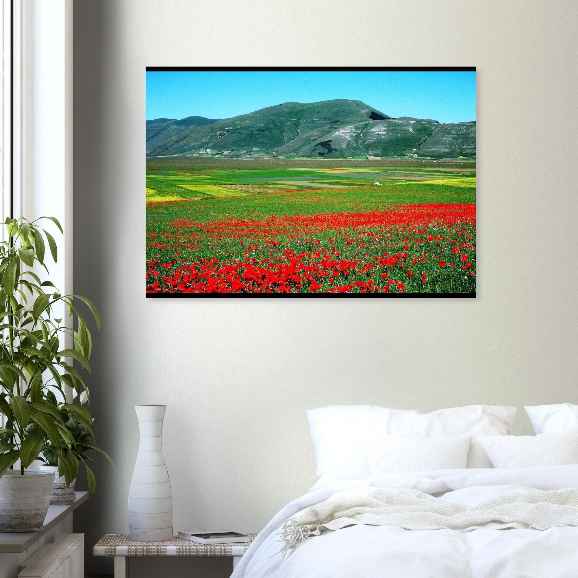 Vista - Micol Art Gallery