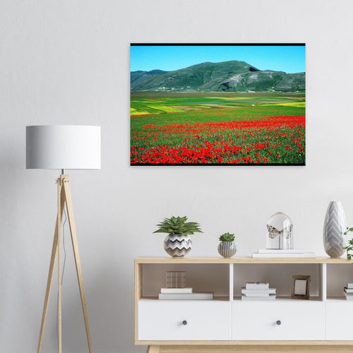 Vista - Micol Art Gallery
