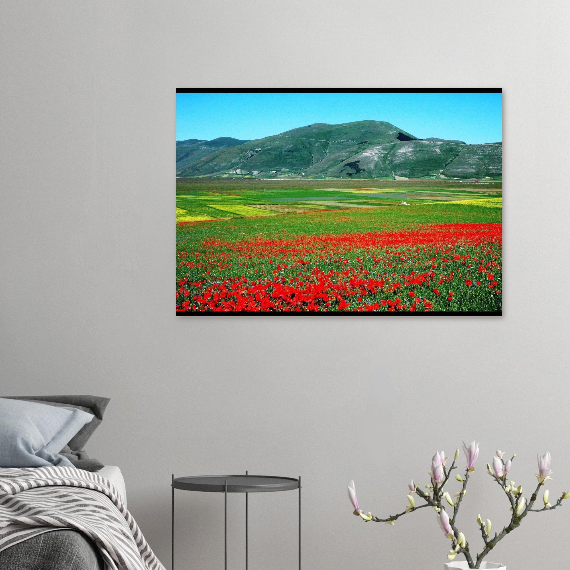 Vista - Micol Art Gallery