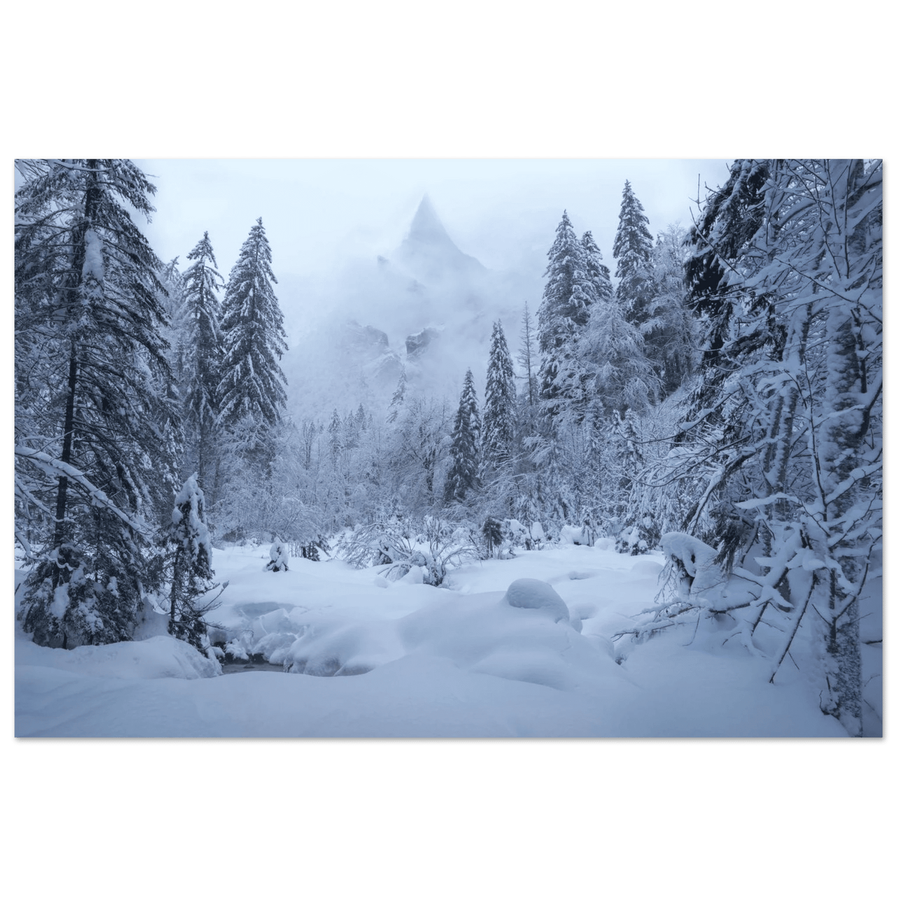 Winter's Gate - Micol Art Gallery