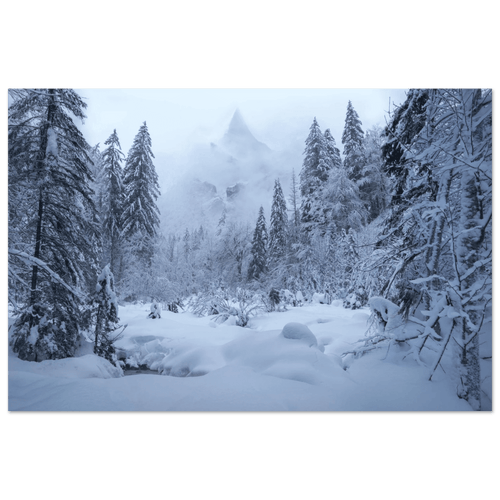 Winter's Gate - Micol Art Gallery