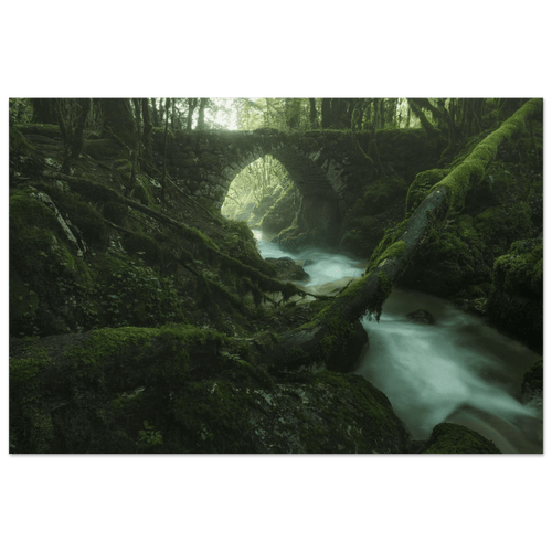 Woodland Realm - Micol Art Gallery